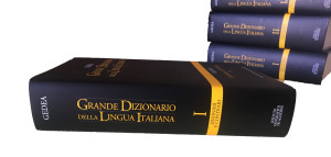 Dizionario analogico e dizionario dei sinonimi e contrari – Istituto DeAgostini