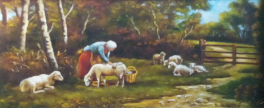 B. Mulachié – Pecore al pascolo – Contadine